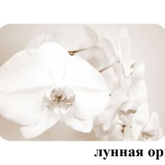 БОСТОН опоры Брифинг в Стрежевом - strezevoi.mebel24.online | фото 18