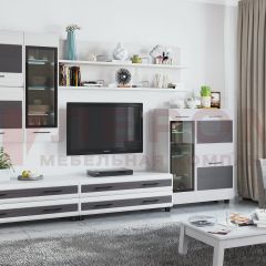 Гостиная Камелия Композиция 6 (Снежный ясень - серый) в Стрежевом - strezevoi.mebel24.online | фото