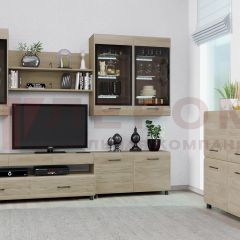 Гостиная Камелия Композиция 8 (Гикори Джексон светлый) в Стрежевом - strezevoi.mebel24.online | фото 3