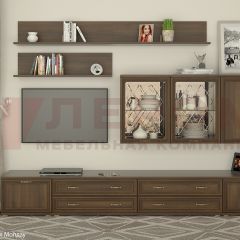 Гостиная Карина Композиция 10 (Акация Молдау) в Стрежевом - strezevoi.mebel24.online | фото