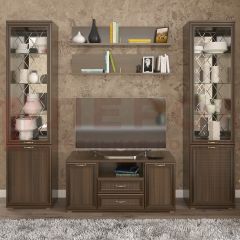 Гостиная Карина Композиция 13 (Акация Молдау) в Стрежевом - strezevoi.mebel24.online | фото
