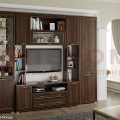Гостиная Карина Композиция 2 (Акация Молдау) в Стрежевом - strezevoi.mebel24.online | фото