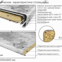 Кухонный фартук со столешницей (А-01) в едином стиле (3050 мм) в Стрежевом - strezevoi.mebel24.online | фото 6