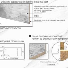 Кухонный фартук со столешницей (А-01) в едином стиле (3050 мм) в Стрежевом - strezevoi.mebel24.online | фото 7