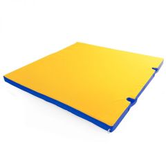 Мат гимнастический 1х1х0,05м с вырезом под стойки цв. синий-желтый в Стрежевом - strezevoi.mebel24.online | фото 1