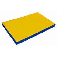 Мат гимнастический 2х1х0,1м цв. синий-желтый в Стрежевом - strezevoi.mebel24.online | фото