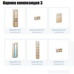 Прихожая Карина (модульная) в Стрежевом - strezevoi.mebel24.online | фото 8