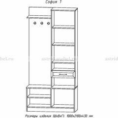 Прихожая София 1 в Стрежевом - strezevoi.mebel24.online | фото 3