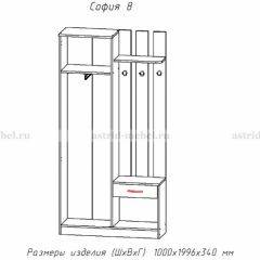 Прихожая София 8 в Стрежевом - strezevoi.mebel24.online | фото 2