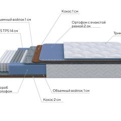 PROxSON Матрас Active Duo M/F (Ткань Трикотаж Эко) 200x190 в Стрежевом - strezevoi.mebel24.online | фото 7