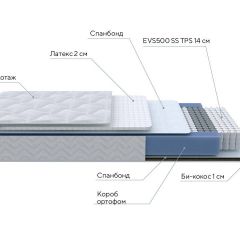 PROxSON Матрас Active Duo S/F (Ткань Трикотаж Эко) 120x190 в Стрежевом - strezevoi.mebel24.online | фото 7