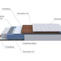 PROxSON Матрас Active F (Ткань Трикотаж Эко) 160x200 в Стрежевом - strezevoi.mebel24.online | фото 7