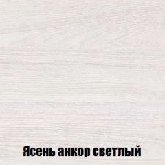 Шкаф 2-х створчатый МСП-1 (Ясень Анкор светлый) в Стрежевом - strezevoi.mebel24.online | фото 4