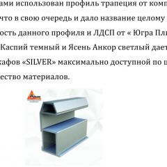 Шкаф-купе 1300 серии SILVER S1+S1+B2+PL2 (2 ящика+1 штанга+1 полка) профиль «Серебро» в Стрежевом - strezevoi.mebel24.online | фото 4