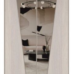 Шкаф-купе 1300 серии SILVER S1+S1+B2+PL2 (2 ящика+1 штанга+1 полка) профиль «Серебро» в Стрежевом - strezevoi.mebel24.online | фото 12