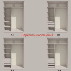 Шкаф-купе 1300 серии SILVER S1+S1+B2+PL2 (2 ящика+1 штанга+1 полка) профиль «Серебро» в Стрежевом - strezevoi.mebel24.online | фото 5