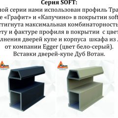 Шкаф-купе 1600 серии SOFT D8+D2+B2+PL4 (2 ящика+F обр.штанга) профиль «Графит» в Стрежевом - strezevoi.mebel24.online | фото 12
