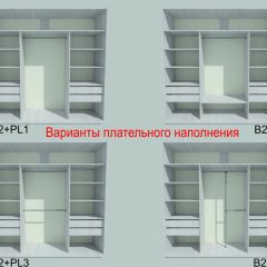 Шкаф-купе 1950 серии SILVER S3+S1+S3Z B22+PL2 (по 2 ящика лев/прав+1штанга+1 полка) профиль «Серебро» в Стрежевом - strezevoi.mebel24.online | фото 6