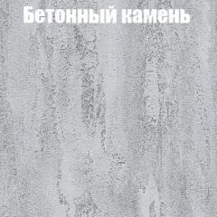 Шкаф-купе Бассо 1.0 (Дуб Крафт серый/Бетонный камень) 2 двери ЛДСП в Стрежевом - strezevoi.mebel24.online | фото 3