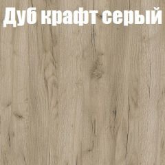 Шкаф-купе Бассо 1.0 (Дуб Крафт серый/Бетонный камень) 2 двери ЛДСП в Стрежевом - strezevoi.mebel24.online | фото 4