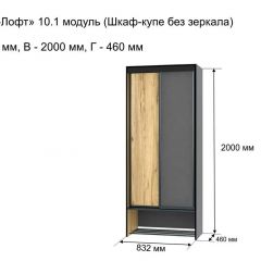 ОЛЬГА-ЛОФТ 10.1 Шкаф-купе без зеркала в Стрежевом - strezevoi.mebel24.online | фото 3