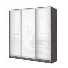 Шкаф-купе ХИТ 23-18-888 (620) в Стрежевом - strezevoi.mebel24.online | фото 1