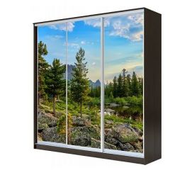 Шкаф-купе ХИТ 23-4-18-777 (420) в Стрежевом - strezevoi.mebel24.online | фото 1