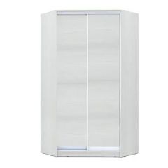 Шкаф-купе ХИТ-У-R-24-64-11 в Стрежевом - strezevoi.mebel24.online | фото