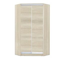 Шкаф-купе ХИТ-У-R-24-64-11 в Стрежевом - strezevoi.mebel24.online | фото 8