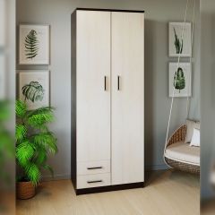 Шкаф распашной ПШ-3.9 в Стрежевом - strezevoi.mebel24.online | фото 3