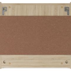 Шкаф-зеркало Мечта 60 Дуб сонома АЙСБЕРГ (DM2319HZ) в Стрежевом - strezevoi.mebel24.online | фото 4