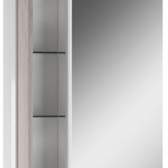 Шкаф-зеркало Uno 60 Дуб серый левый/правый Домино (DU1503HZ) в Стрежевом - strezevoi.mebel24.online | фото 3