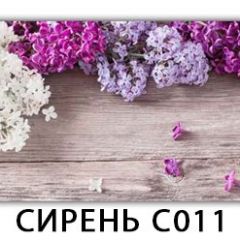 Стол раздвижной Трилогия с фотопечатью Орхидея C012 в Стрежевом - strezevoi.mebel24.online | фото 16