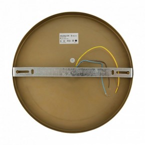 Бра Freya Zelda FR5125WL-01BS в Стрежевом - strezevoi.mebel24.online | фото 6