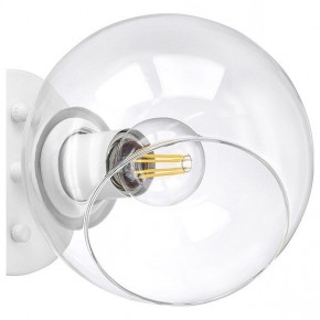 Бра Lightstar Beta 785616 в Стрежевом - strezevoi.mebel24.online | фото 5
