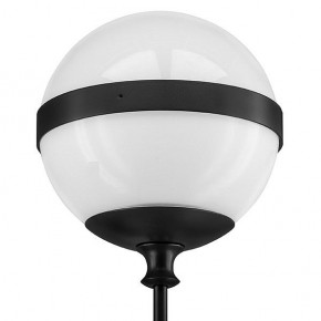 Бра Lightstar Globo 813617 в Стрежевом - strezevoi.mebel24.online | фото 3
