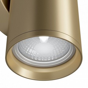 Бра Maytoni Focus S C068WL-02MG в Стрежевом - strezevoi.mebel24.online | фото 4