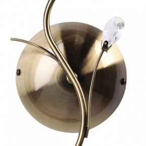 Бра MW-Light Нежность 7 356023001 в Стрежевом - strezevoi.mebel24.online | фото 3