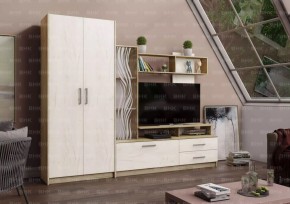 ДАРЬЯ Гостиная (Крафт серый/Крафт белый) в Стрежевом - strezevoi.mebel24.online | фото