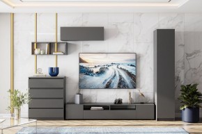 ДЕНВЕР Тумба для ТВА (Графит серый) в Стрежевом - strezevoi.mebel24.online | фото 4