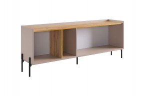 ДОМИНИКА Тумба 2 в Стрежевом - strezevoi.mebel24.online | фото 4
