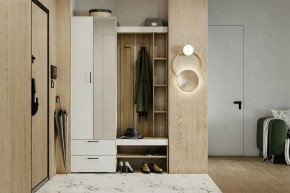 Гарнитур для прихожей Торонто в Стрежевом - strezevoi.mebel24.online | фото 5
