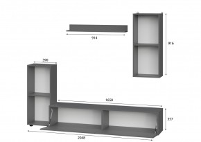 Гостиная МГС 10 (Графит) в Стрежевом - strezevoi.mebel24.online | фото 2