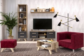Гостиная Вега Скандинавия (комплект 5) в Стрежевом - strezevoi.mebel24.online | фото 2