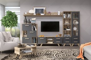 Гостиная Вега Скандинавия (комплект 6) в Стрежевом - strezevoi.mebel24.online | фото 2