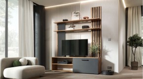 КАРОЛИНА Гостиная (дуб вотан/графит) в Стрежевом - strezevoi.mebel24.online | фото