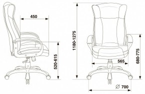 Кресло для руководителя Бюрократ CH-879N в Стрежевом - strezevoi.mebel24.online | фото 5