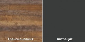 Кухонный гарнитур угловой Трансильвания 2400x1600 мм (Стол. 38 мм) Антрацит/Трансильвания в Стрежевом - strezevoi.mebel24.online | фото 3