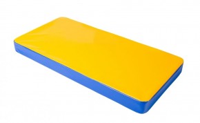 Мат гимнастический 1х0,5х0,08м цв. синий-желтый в Стрежевом - strezevoi.mebel24.online | фото 1
