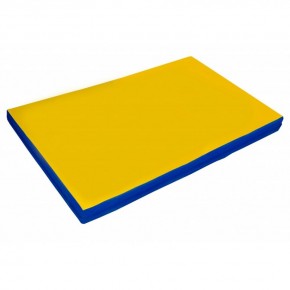 Мат гимнастический 2х1х0,05м цв. синий-желтый в Стрежевом - strezevoi.mebel24.online | фото 1